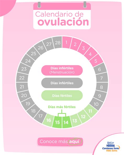 Calendario con un círculo marcando el período de ovulación