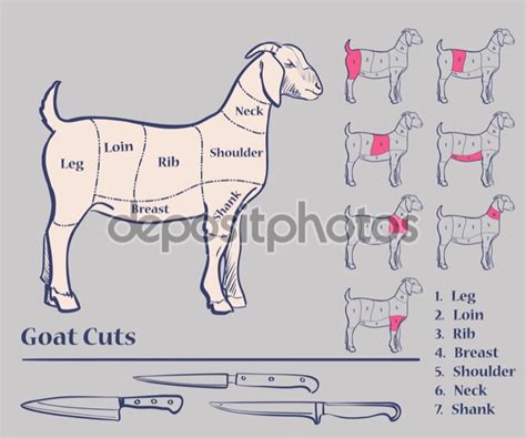 Esquema de cortes de cabrito o porciones en un plato