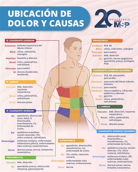 Infografía ilustrando diferentes causas de dolor abdominal