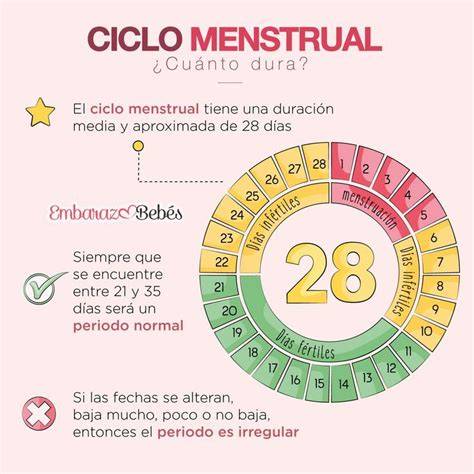 Gráfico con la ventana fértil en un ciclo menstrual de 28 días