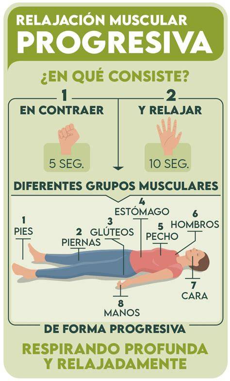 Gráfico ilustrando la relajación muscular causada por la progesterona en el embarazo