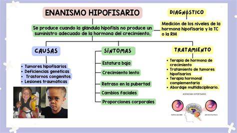 Esquema de las causas genéticas y hormonales del enanismo