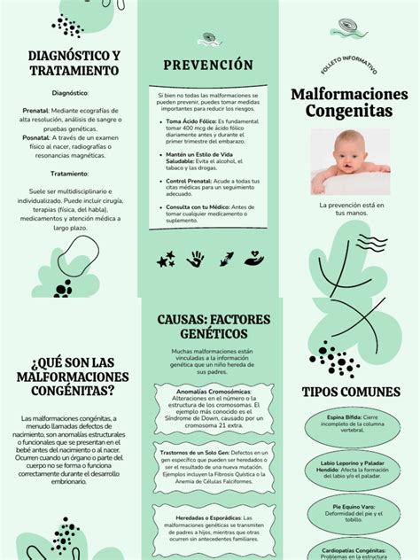 Infografía sobre medidas preventivas para reducir el riesgo de malformaciones congénitas