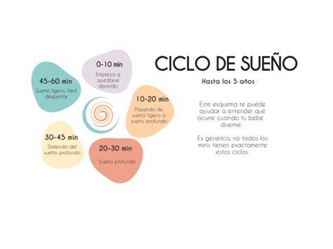Infografía comparando ciclos de sueño de bebés y adultos