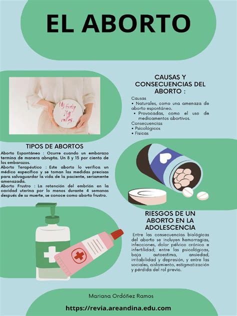 Infografía: Causas principales del aborto retenido