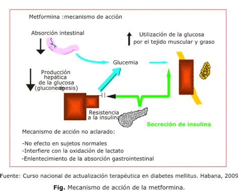 gráfico comparativo de la efectividad de la insulina y la metformina en el embarazo