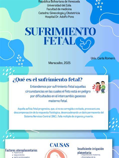 Infografía o esquema de las consecuencias médicas del sufrimiento fetal prolongado o severo