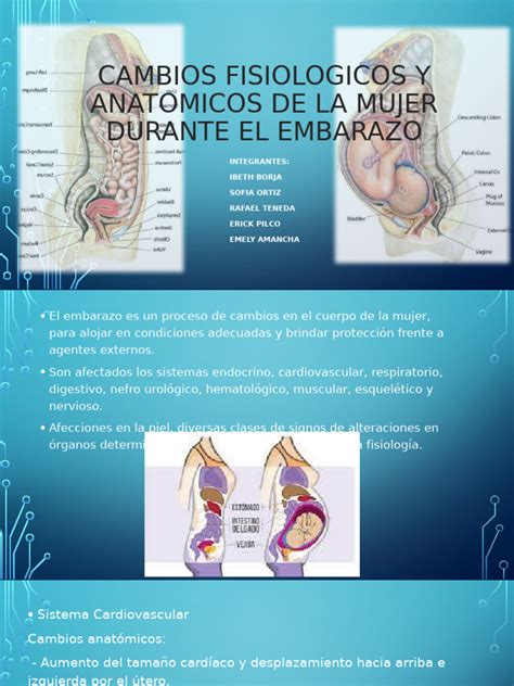 Esquema de los cambios anatómicos y fisiológicos del cuerpo femenino durante el embarazo