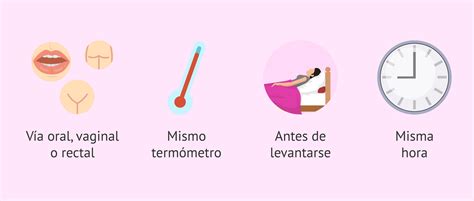 Esquema de las diferentes vías de medición de la temperatura basal: oral, vaginal y rectal