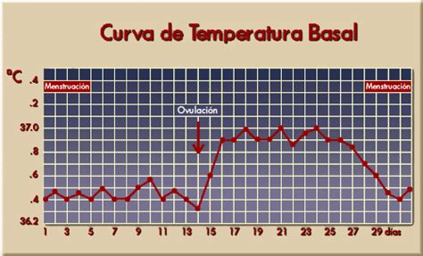 Gráfico ilustrativo de la curva de temperatura basal corporal a lo largo de un ciclo menstrual, mostrando el aumento post-ovulatorio
