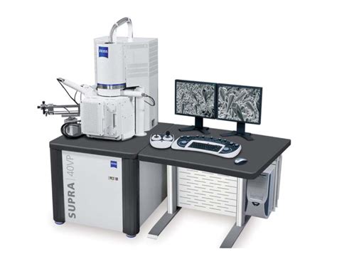 Gémula de esponja vista en microscopio electrónico de barrido, mostrando la envoltura externa y la masa celular interior.