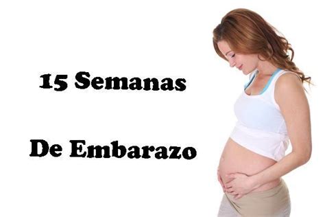 foto de una barriga de embarazo de 15 semanas