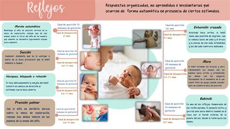 infografía sobre los diferentes tipos de movimientos involuntarios en bebés: reflejos normales vs. signos de alerta