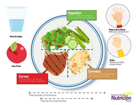 Plato de comida saludable con porciones recomendadas para embarazadas con diabetes gestacional