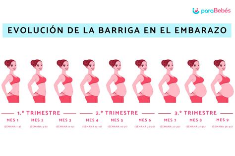 Imagen de una barriga de 12 semanas de embarazo