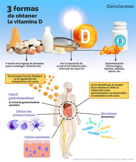 infografía sobre la importancia de la vitamina D en bebés