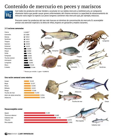 infografía sobre niveles de mercurio en diferentes tipos de pescado