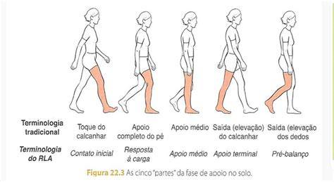 Esquema ilustrativo mostrando la diferencia entre la marcha normal (apoyo del talón) y la marcha de puntillas en niños.