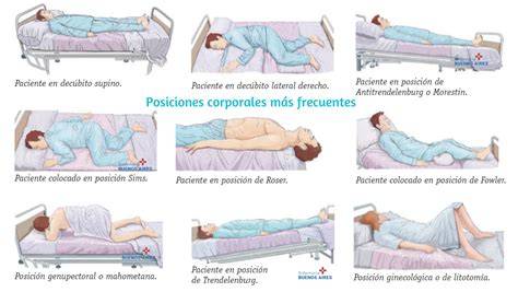 Esquema que muestra la posición ergonómica en forma de C del recién nacido en la hamaca BabyBjörn