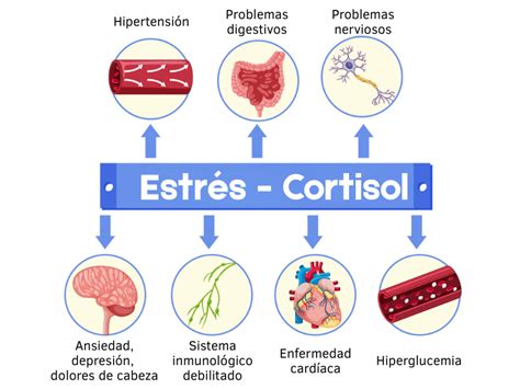 infografía que muestra cómo el cortisol afecta al sistema reproductivo femenino, detallando la inhibición de la GnRH, la alteración de estrógenos y progesterona, y el impacto en la ovulación y la implantación.