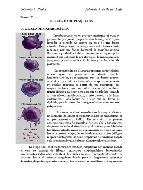 Esquema ilustrativo del descenso del recuento plaquetario por debajo de los niveles normales en el torrente sanguíneo.