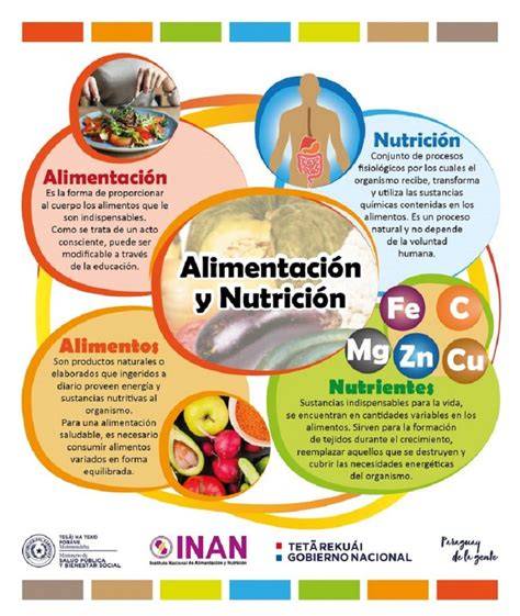 Esquema sobre la importancia de la nutrición equilibrada y el monitoreo de glucosa durante el embarazo para prevenir complicaciones.