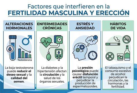 Infografía: factores que influyen en la fertilidad masculina