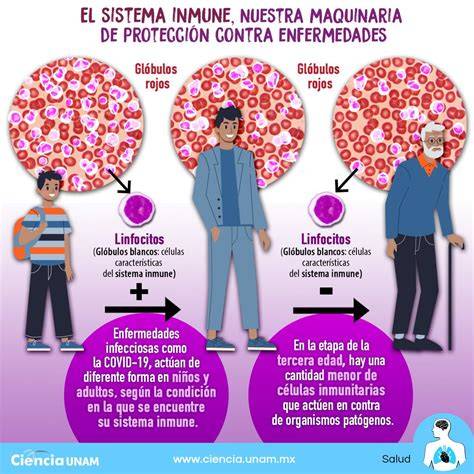 Gráfico comparativo de la madurez del sistema inmune del bebé a lo largo del primer año