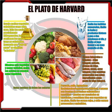 Infografía del Plato Harvard de alimentación saludable