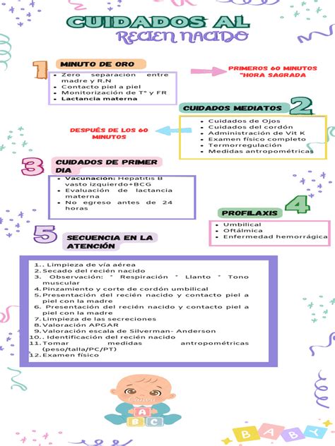 Infografía: Ciclo de necesidades básicas del recién nacido (hambre, sueño, cambio de pañal, contacto).