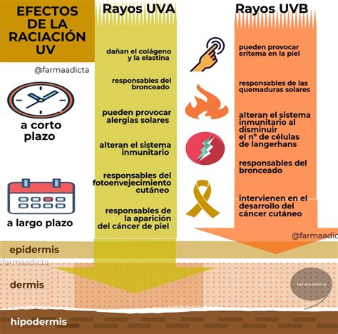 Infografía sobre los efectos de la radiación UV en la piel