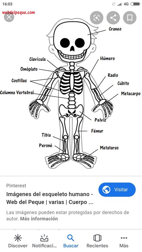 Esquema de maquillaje de esqueleto para niños