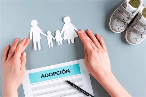 Gráfico ilustrativo sobre la cronología del proceso de adopción de Ambika y la unión familiar