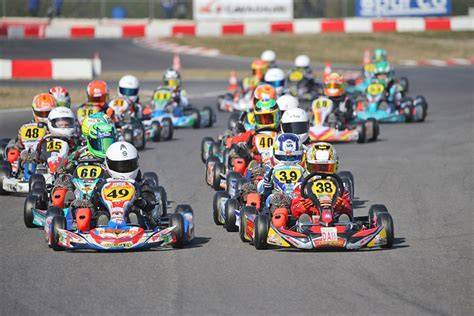 infografía que muestra los diferentes tipos de karts: de pedales, de alquiler, de competición y de cross para identificar sus diferencias visuales