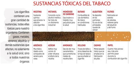 Esquema que muestra el paso de sustancias tóxicas del tabaco desde la sangre materna al feto a través del cordón umbilical.