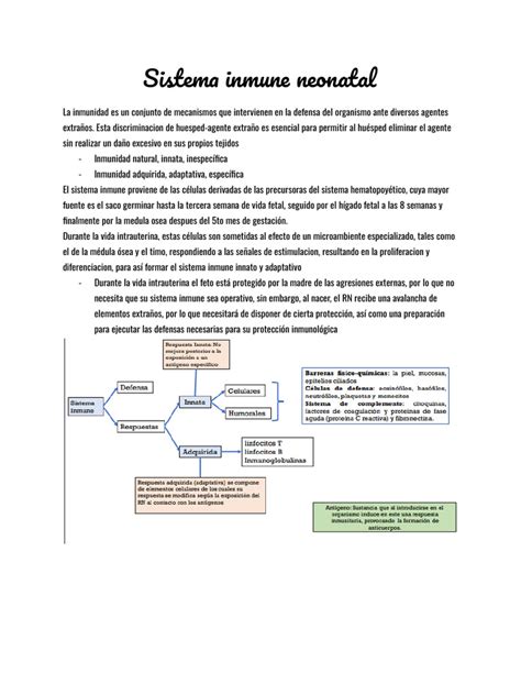 Esquema sobre la vulnerabilidad neonatal: sistema inmune, termorregulación y dependencia materna.