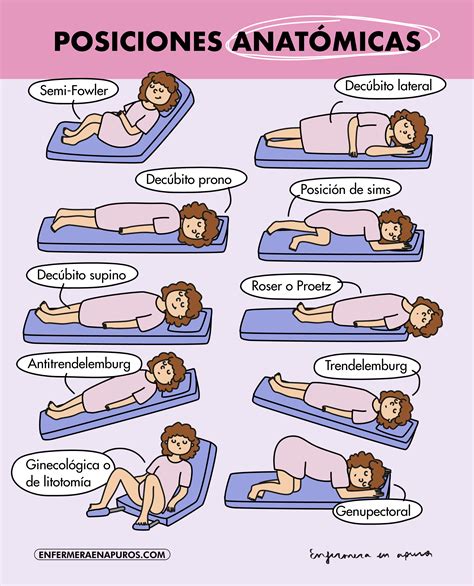 Diagrama que muestra las diferentes posiciones de contención para un recién nacido.