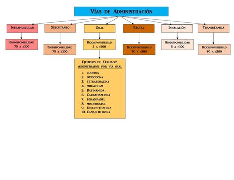 Esquema de las vías de acción legal y profesional ante un hijo violento