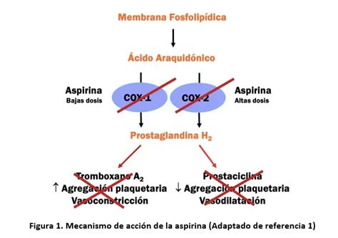 Esquema del mecanismo de acción de la aspirina en la placenta
