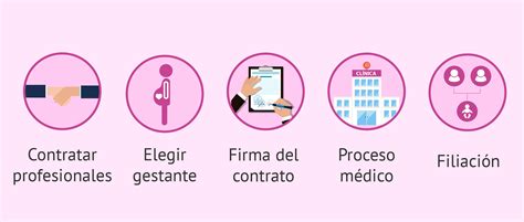 Infografía detallando los pasos del proceso de gestación subrogada y los roles de las partes involucradas.
