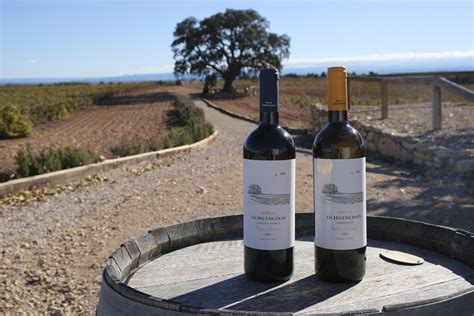Viñedos de la finca El Renegado en Utiel, con detalle de uvas Bobal
