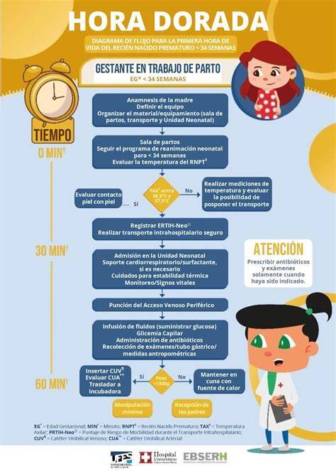 Infografía que resume los beneficios de la hora dorada para el bebé y la madre.