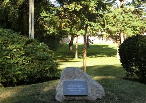 Foto de árbol plantado con una placa conmemorativa