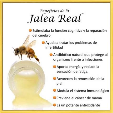 Esquema de la producción de jalea real por las abejas