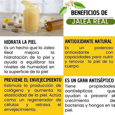 Infografía mostrando los beneficios nutricionales de la jalea real