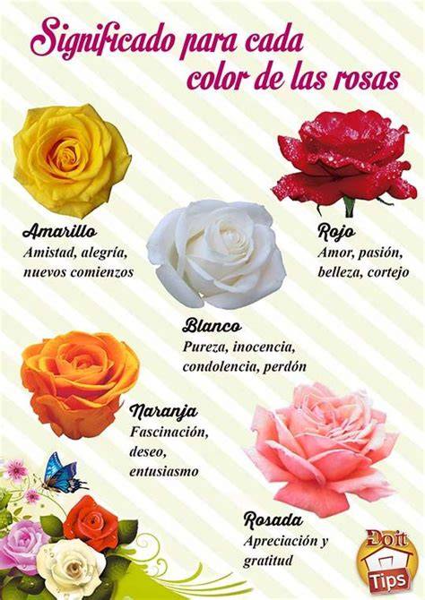 Infografía sobre el significado de los colores en las flores
