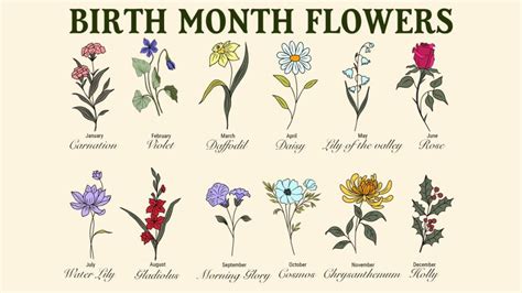Calendario visual con flores de nacimiento por mes