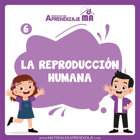 Esquema que ilustra el trabajo de reproducción social y su relación con el sistema productivo