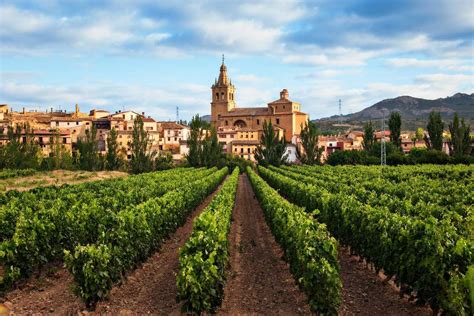 Vista panorámica de Haro, La Rioja, con viñedos y arquitectura tradicional española