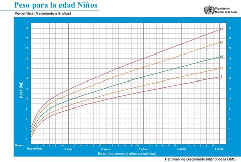 Gráfica del aumento de peso promedio de un bebé durante el primer año
